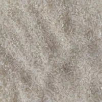 لاشه هاشمی درجه یک