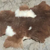 پوست گوسفند دباغی شده