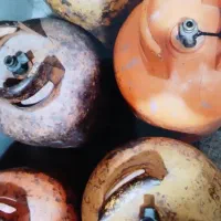 فروش کپسول‌ گاز|اجاق گاز و لوازم برقی پخت‌وپز|ارومیه, |دیوار