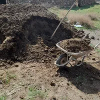 خدمات باغبانی . علف زنی .تیلر. سمپاشی. هرس|خدمات باغبانی و درختکاری|مشهد, کوی سیدی|دیوار