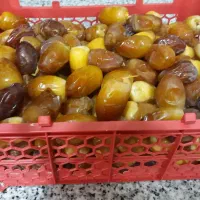 رطب تازه