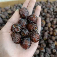 خرما بدون هسته و پیارم دشتستان