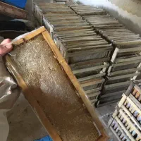 عدس ، عسل، گردو|خوردنی و آشامیدنی|رشت, کوی غلام نیا|دیوار