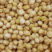 جو دیم تمیز