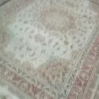 فرش ۶ متری|فرش|رشت, دیانتی|دیوار