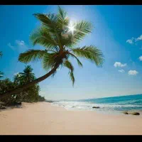 تور انتالیا،فنی