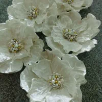 گلهای کریشه خاص|حراج|مرند, |دیوار