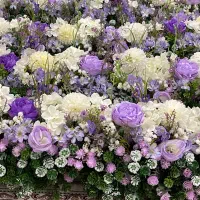 طراحی و اجرا گل متری