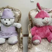 دوعدد عروسک پولیشی درحدنو