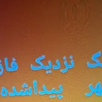 سگ پیداشده