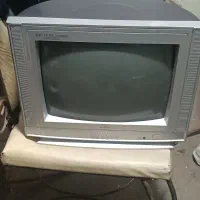تلویزیون