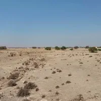 زمین کشاورزی مساحت (۵۵.۸۰۴) خورموج روستای نودرار|فروش زمین و ملک کلنگی|خورموج, |دیوار