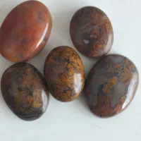 شجر پایزه|جواهرات|قائن, |دیوار