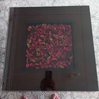 میز جلو مبلی|مبلمان خانگی و میز عسلی|تربتحیدریه, شهرک ولیعصر|دیوار