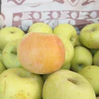شیره سیب