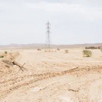 ۸۰۰۰مترباغ پسته|فروش دفتر صنعتی، کشاورزی، تجاری|قم, یزدان‌شهر|دیوار