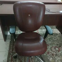 صندلی چرخدار|صندلی و نیمکت|شیراز, گویم|دیوار