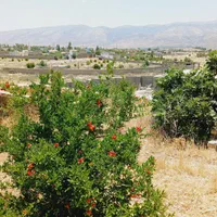 فروش زمین ۱۰۰۰ متری در سیخ فارس مبین|فروش زمین و ملک کلنگی|شیراز, معالی‌آباد|دیوار
