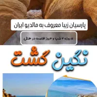 تور گروهی  ۵ روزه پارسیان زیبا (مالدیو ایران )