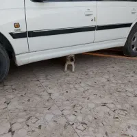 معاوضه|خودرو سواری و وانت|بم, |دیوار