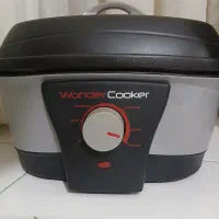 وندر کوکر چندکاره نو.سرخ کن وپلوپزوکیک پزوبخار پز