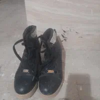 نیم پوت ۲ جفت شماره پا ۲۶ ی جفت کفش مجلسی