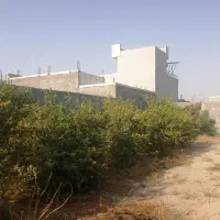 فروش زمین باغشهری مسکونی دهقاعد|فروش زمین و ملک کلنگی|برازجان, |دیوار