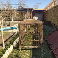 قفس سگ و پرندگان