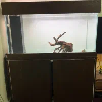 اکواریوم ریملس ۱۲۰ ۵۰ ۶۰ سامپ دار