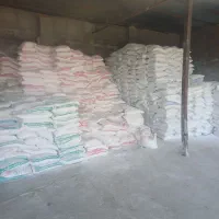 فروش انواع سیمان ایتال ماسه بلوک سیمانی گچ|مصالح و تجهیزات ساختمان|گرگان, |دیوار