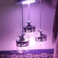 لوستر اویز|لوستر و چراغ آویز|ملکشاهی, |دیوار