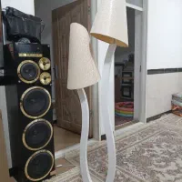 اباژور ایستاده کاملا سالم