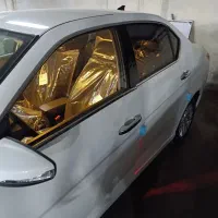 دنا پلاس خشک