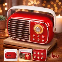 اسپیکر بلوتوثی برودو BTS-1956 + میکروفون