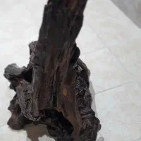 کنده بزرگ برای اکواریوم