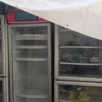 یخچال|فروشگاه و مغازه|قم, زند آباد|دیوار