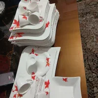 ظروف چینی