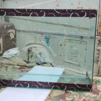 آکواریوم شیشه خم شرکتی