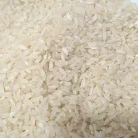 برنج کامفیروزی نو بشرط