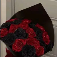 500/00