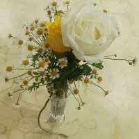 نیازمند روانشناس آقا درصدرا