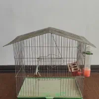 قفسه و دو عدد قفس|کتابخانه، شلف، قفسه‌های دیواری|صدرا-فارس, فاز ۱|دیوار