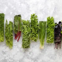 جذب نیرو کارگر خانم