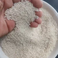 برنج هاشمی نیم دانه امساله