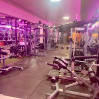 باشگاه ورزشی حامی