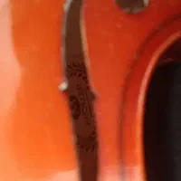 ویالون نو|ویولن|شیراز, شهرک والفجر|دیوار