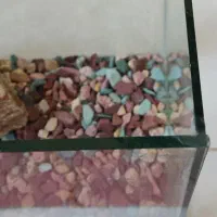 ۲ عدد اکواریوم با سنگ تزئینی و شن|ماهی|فولادشهر, A2|دیوار