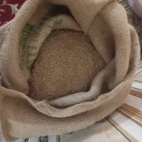 دوقیف کاه جو