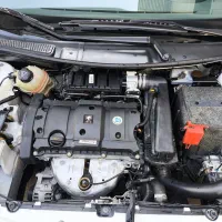 207 پاناروما