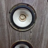 صیصتم باند خانگی